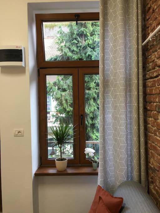 Ferdinand Art Studio Cluj-Napoca Exterior foto